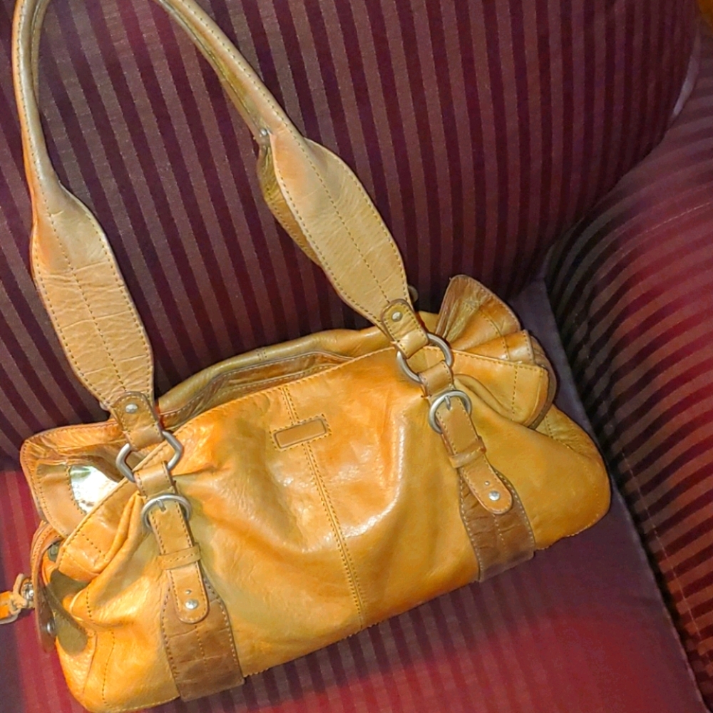 Fossil tote